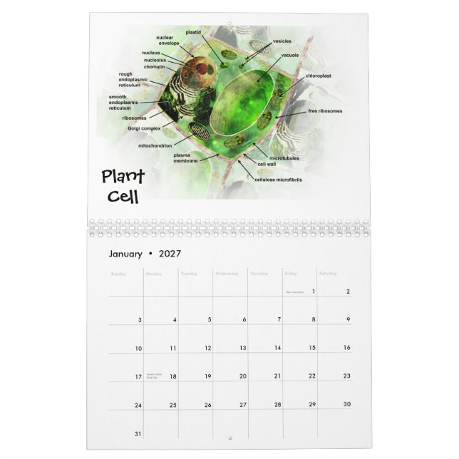 El arte del calendario de la ciencia (Jan 2027)