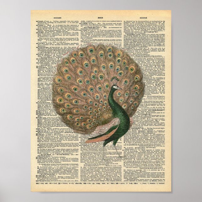 El arte del diccionario de época bello pájaro del  (Frente)