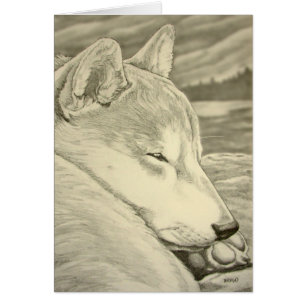 El arte del perro de Shiba Inu carda las tarjetas