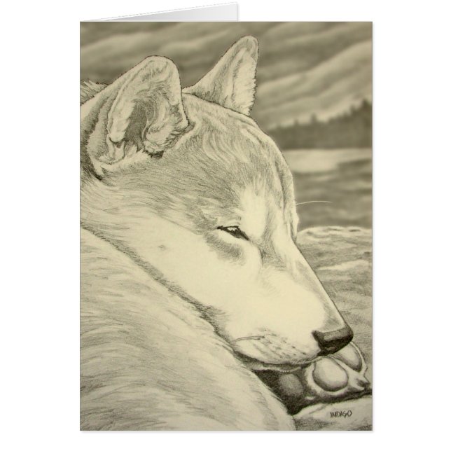 El arte del perro de Shiba Inu carda las tarjetas (Frente)