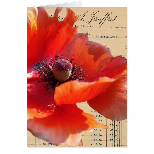 El arte digital de la amapola y la efemera (Frente)