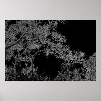El arte oscuro crece en un poster de árbol por J.W