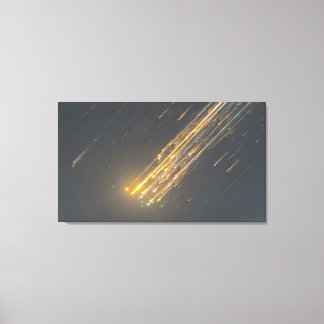 El Asombroso Declive de SpaceX - Arte en Lienzo Ic