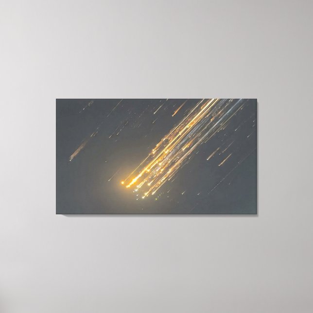 El Asombroso Declive de SpaceX - Arte en Lienzo Ic (Anverso)