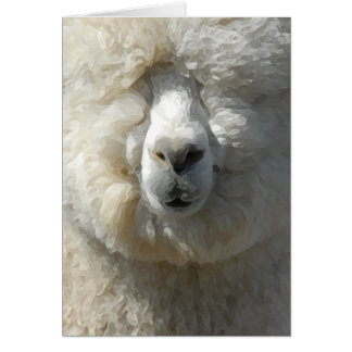 El asombroso Gandalf la alpaca