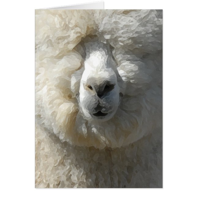 El asombroso Gandalf la alpaca (Frente)