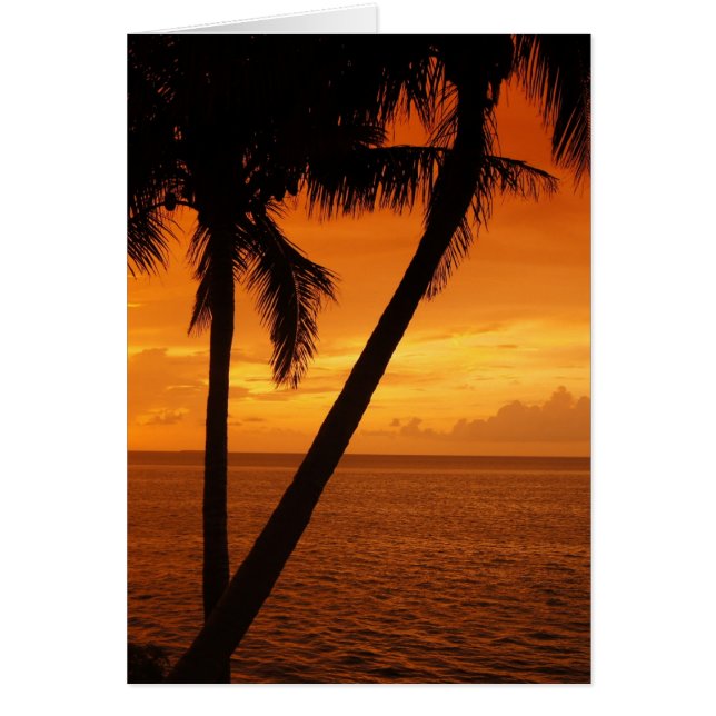 El atardecer de Florida Key (Frente)