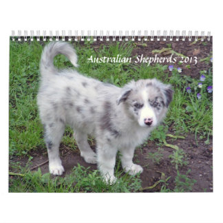 El australiano Shepherds el calendario 2013