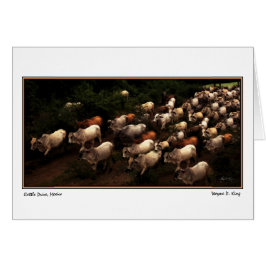 El auto Hogar, México