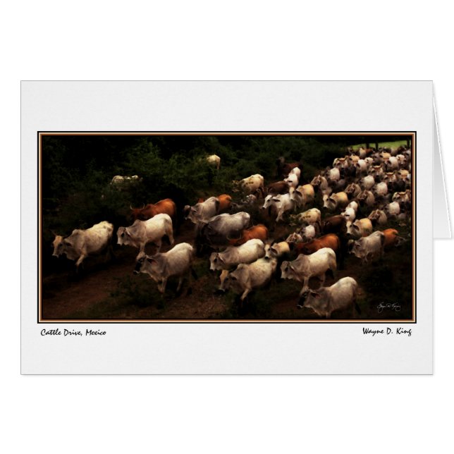 El auto Hogar, México (Anverso (Horizontal))