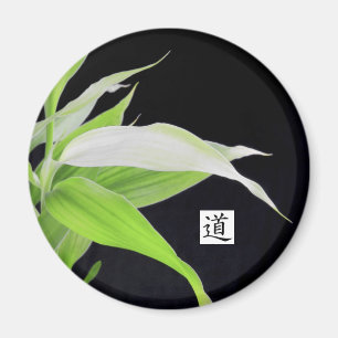 El bambú sale buena suerte del imán de la buena