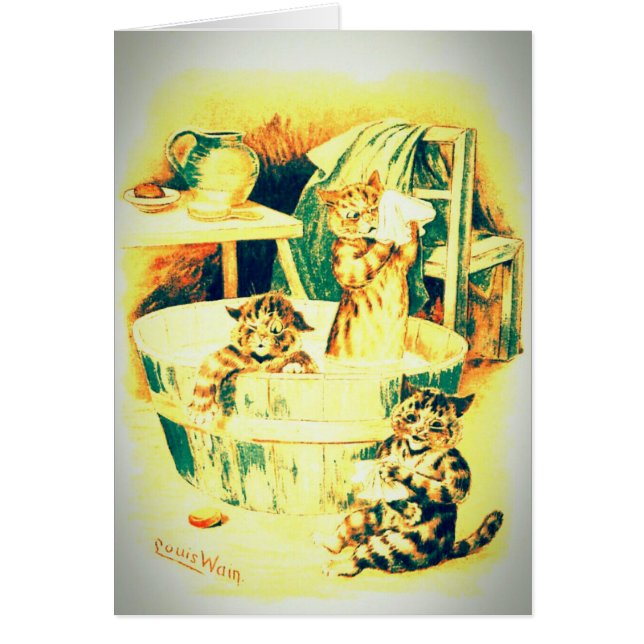 El baño del gato (Frente)