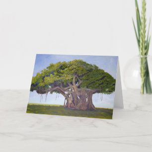 El Banyan de MacArthur - tarjeta con la historia