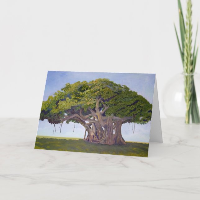 El Banyan de MacArthur - tarjeta con la historia (Anverso)