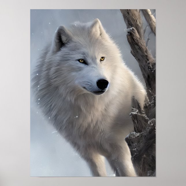 El bello arte del lobo blanco (Frente)