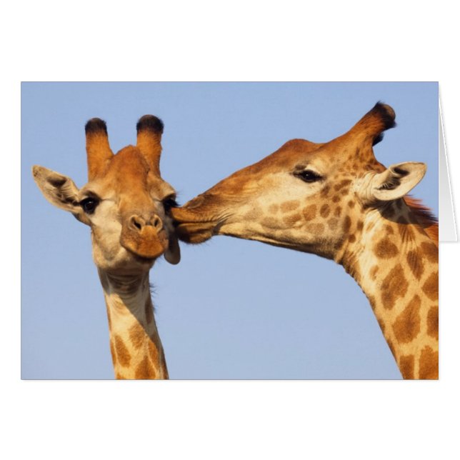 El beso (Anverso (Horizontal))