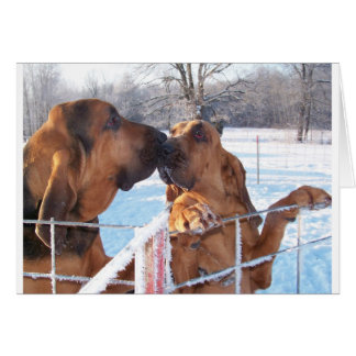 El beso - Bloodhound