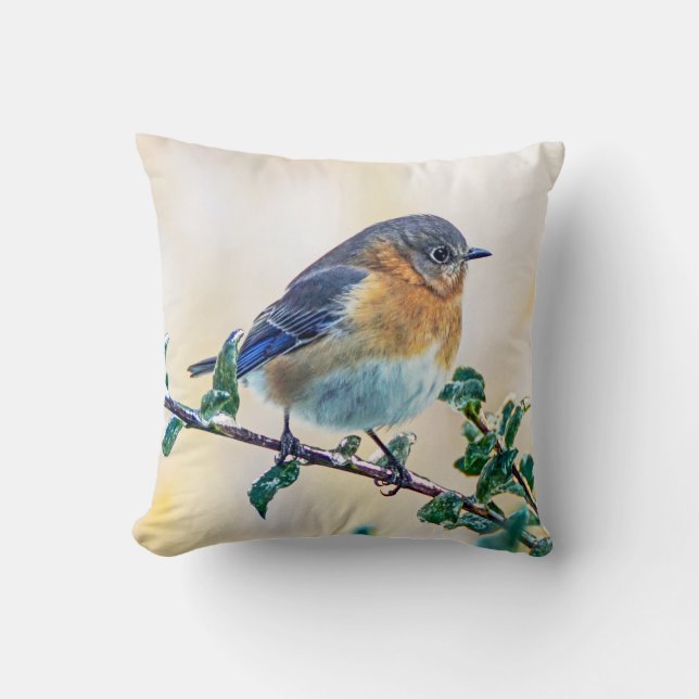 El Bluebird del este en el hielo cubrió el Cojín (Anverso)