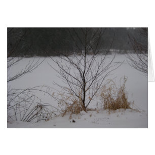 El borde del lago, invierno
