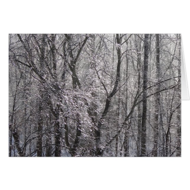 El bosque helado brillante en la luz matutina II (Anverso (Horizontal))