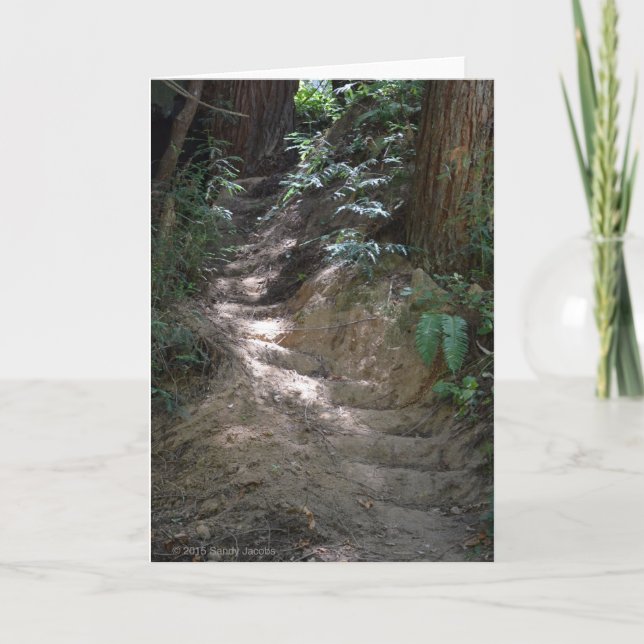 El bosque Sunlit camina tarjeta en blanco (Anverso)