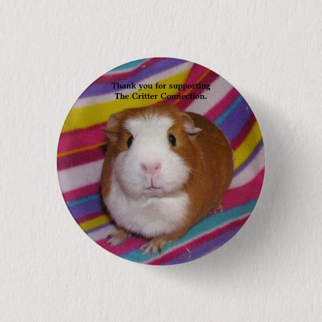 El botón de la conexión del Critter (Anverso)