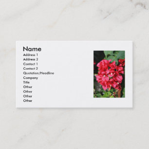 El Bougainvillea florece la tarjeta de visita