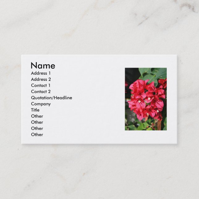 El Bougainvillea florece la tarjeta de visita (Anverso)