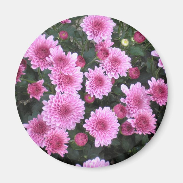 El Bouquet de la Naturaleza: imán de primavera (Frente)