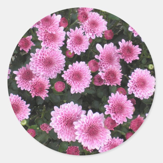 El Bouquet de la Naturaleza: pegatina de primavera (Anverso)