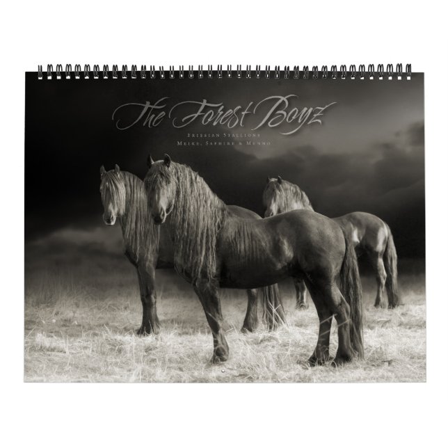 El Boyz Forestal - Calendario Incondicional (Tapa)