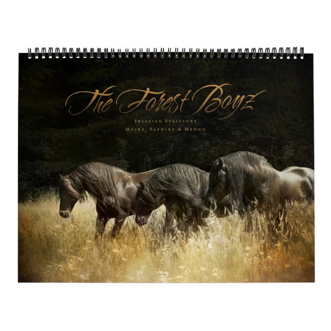 El Boyz Forestal - Calendario Patria Celestial (Tapa)