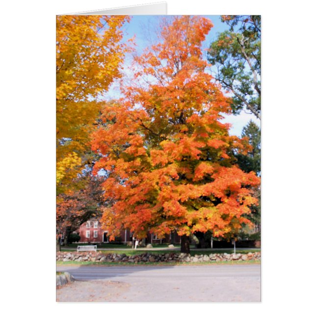 EL BRILLO DEL OTOÑO (Frente)