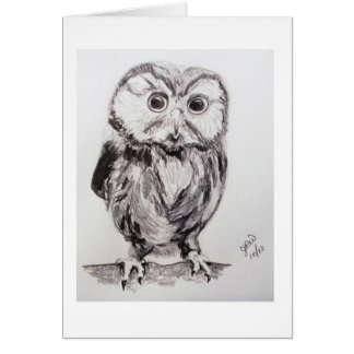 ¿El búho en el mundo es usted?