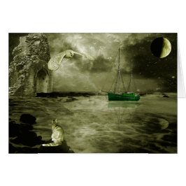 El búho y el minino