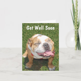 El bulldog adaptable consigue la tarjeta bien