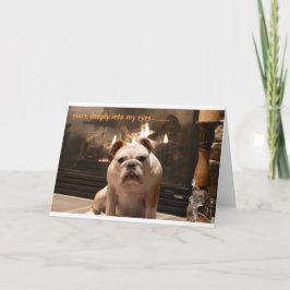 El bulldog consigue la tarjeta bien