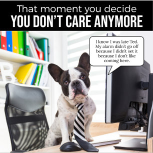 El Bulldog francés no puso una camiseta alarmante