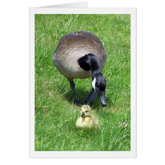 El bullicio (Frente)