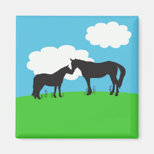 El caballo besa el imán