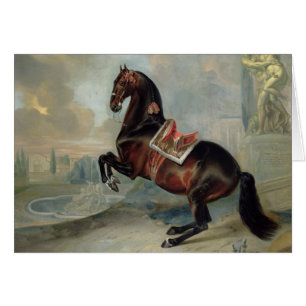 El caballo de bahía oscuro 'Valido