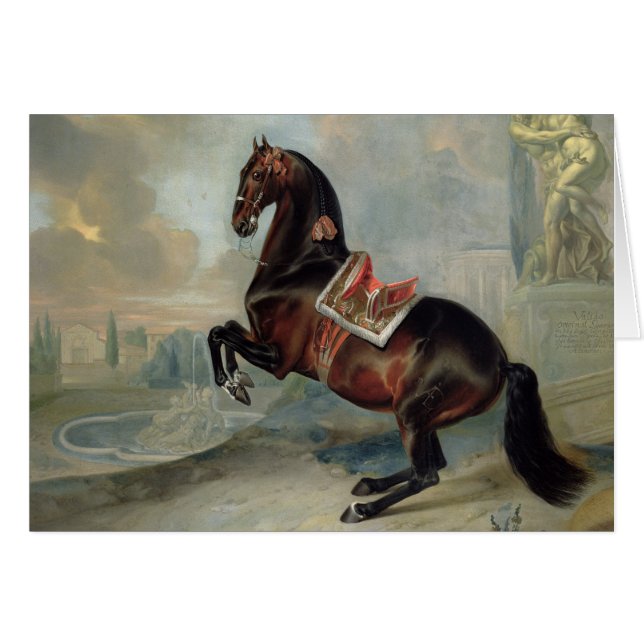 El caballo de bahía oscuro 'Valido (Anverso (Horizontal))