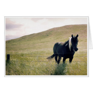 El caballo de pintura