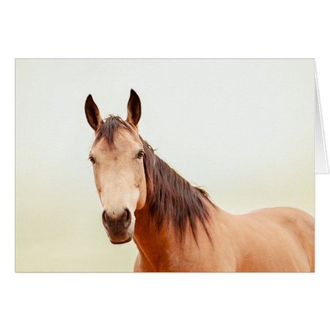 El caballo del moreno le mira (Anverso (Horizontal))