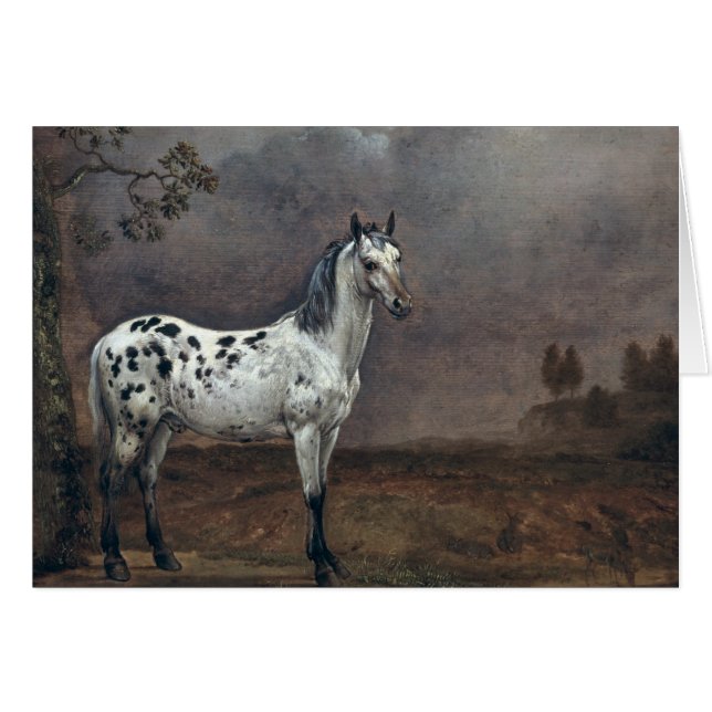 El Caballo Piebald, 1653 (Anverso (Horizontal))