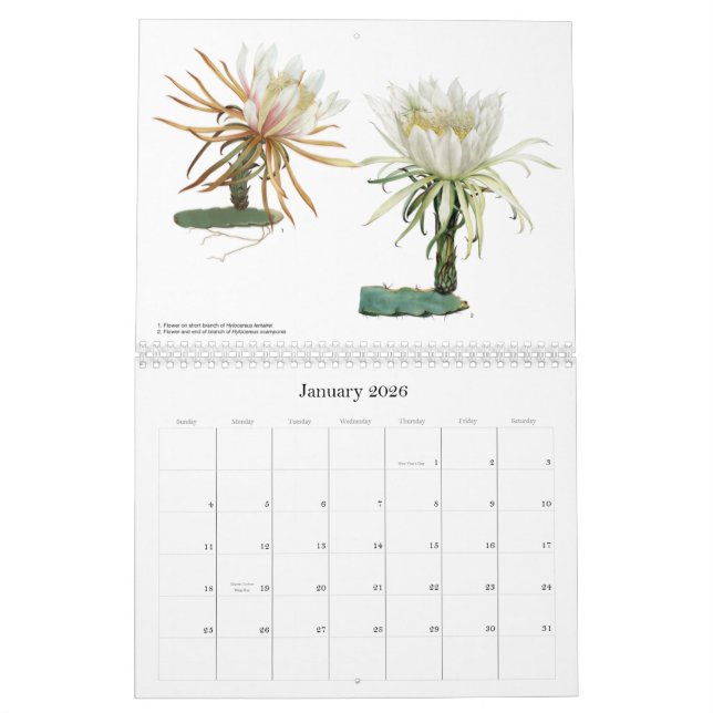 El cactus florece el calendario (Jan 2026)