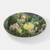 El cactus florece el pisapapeles