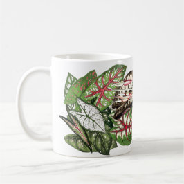 El Caladium sale de la taza
