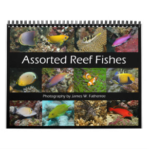 El calendario 1 de los peces del muro de arrecife,