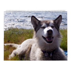 El calendario 2007 de Quinn